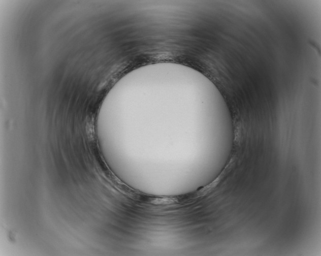 X0000103170179200808221136