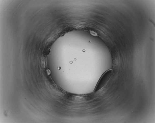 X0000103170180200808221136
