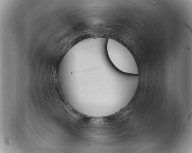 X0000103170181200808221136