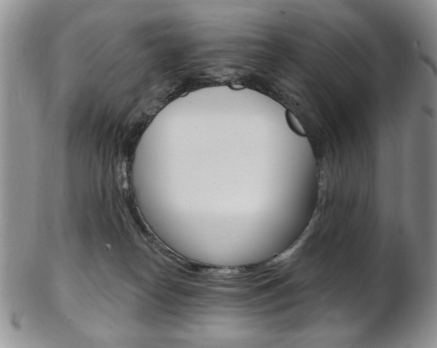 X0000103170182200808221136