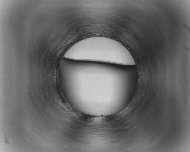 X0000103170184200808221136