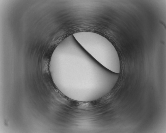 X0000103170185200808221136