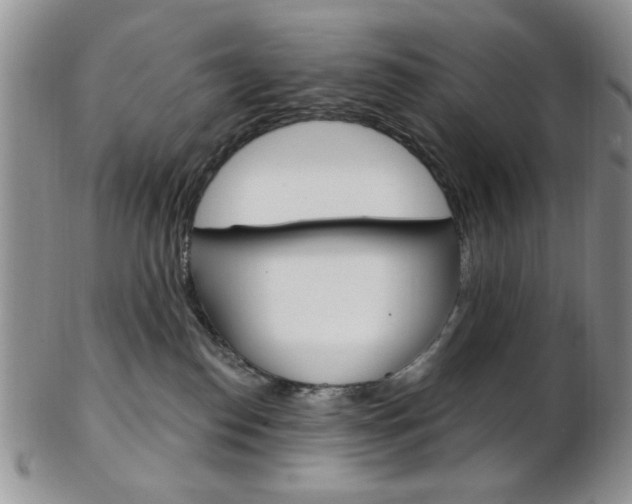 X0000103170186200808221136