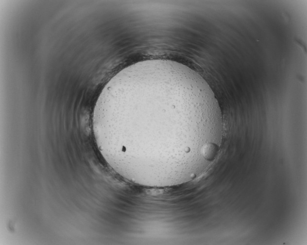 X0000103170187200808221136