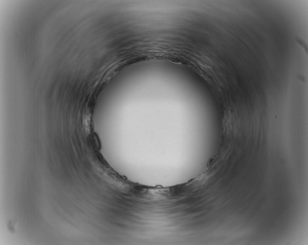X0000103170188200808221136