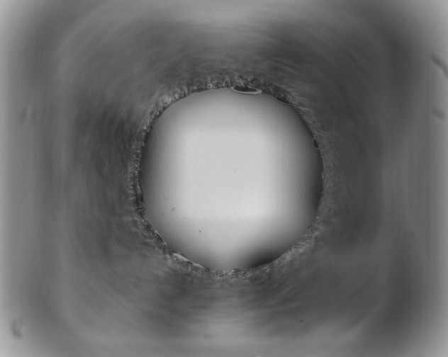 X0000103170192200808221137