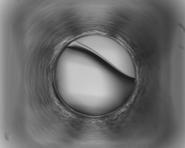 X0000103170193200808221136