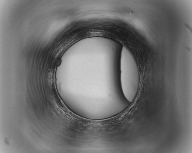 X0000103170194200808221136