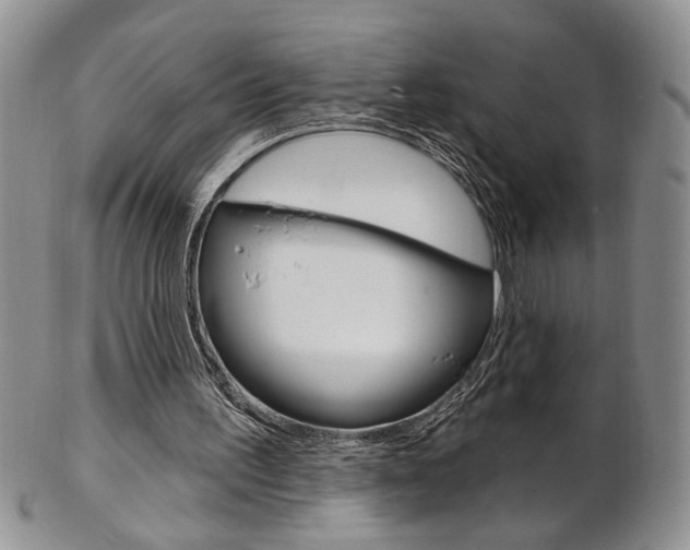 X0000103170195200808221136