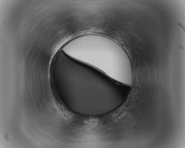 X0000103170196200808221136