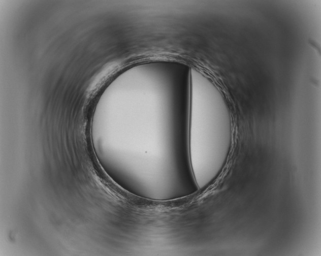 X0000103170197200808221136