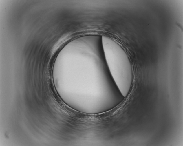 X0000103170198200808221136