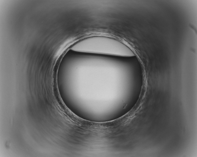 X0000103170199200808221136