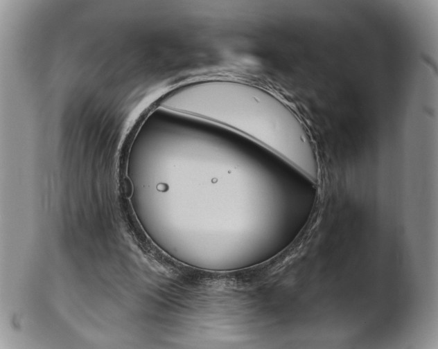 X0000103170200200808221136