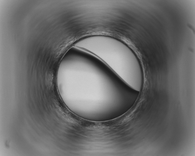 X0000103170201200808221136
