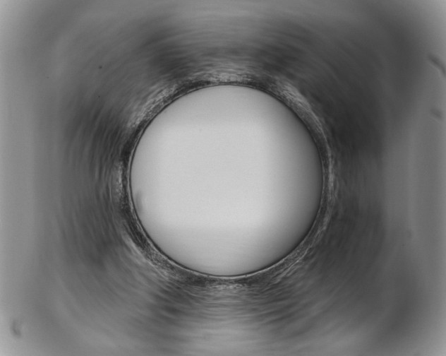 X0000103170202200808221136