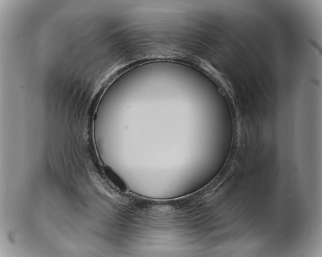 X0000103170203200808221136