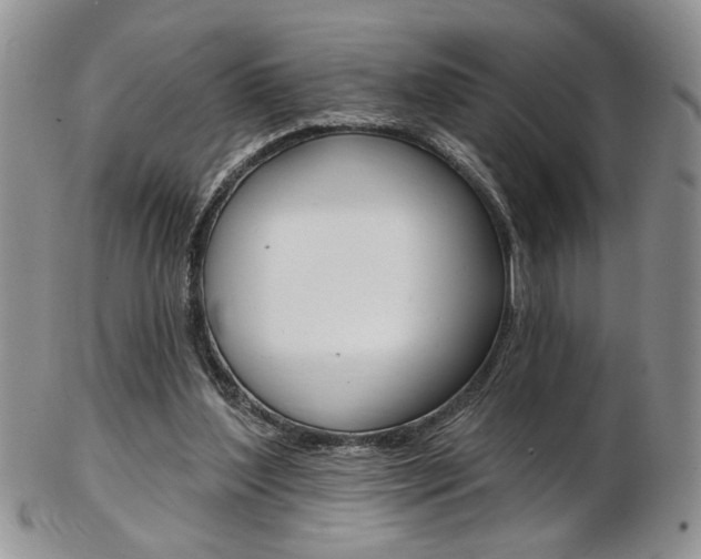 X0000103170204200808221136