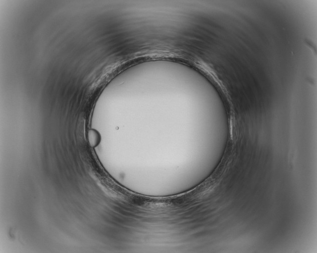 X0000103170205200808221136