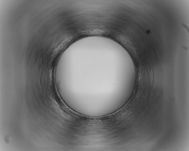 X0000103170206200808221135