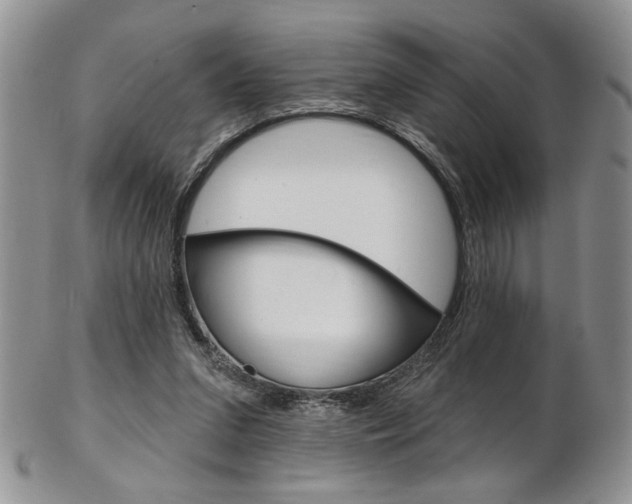 X0000103170207200808221135