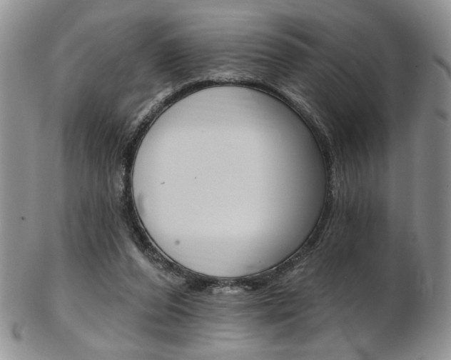 X0000103170208200808221135
