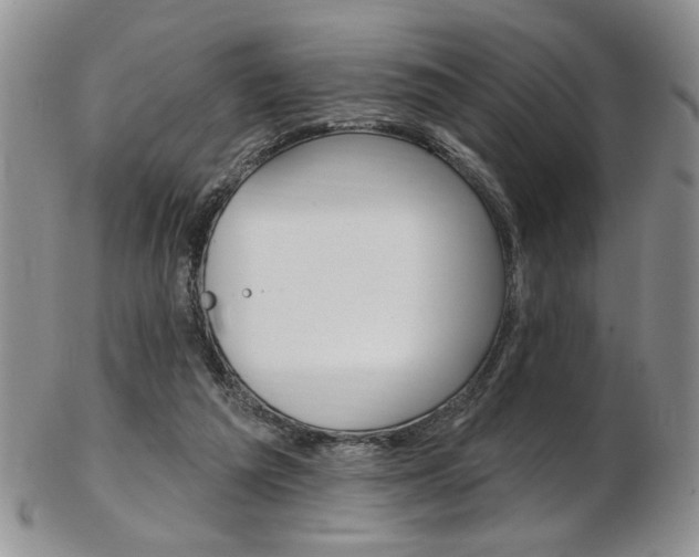 X0000103170209200808221135