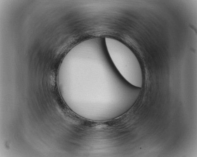 X0000103170210200808221135