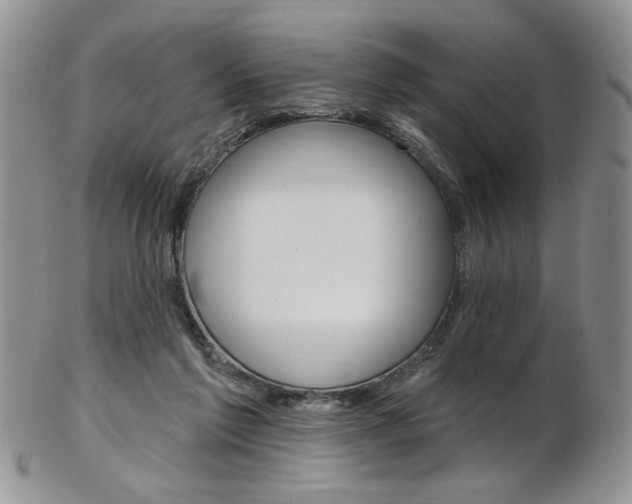 X0000103170213200808221135