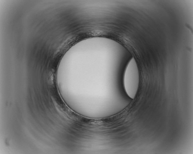 X0000103170214200808221135