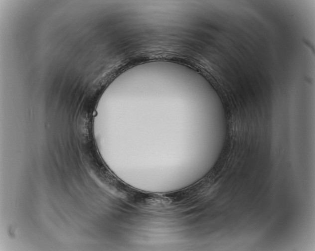 X0000103170215200808221135