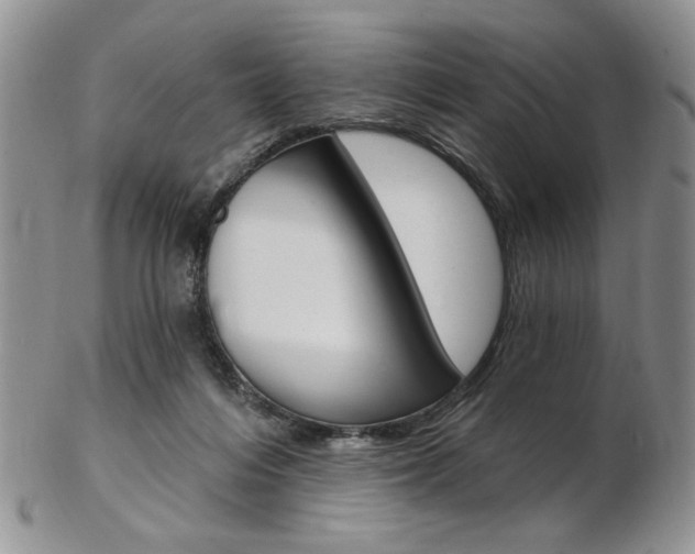 X0000103170216200808221135