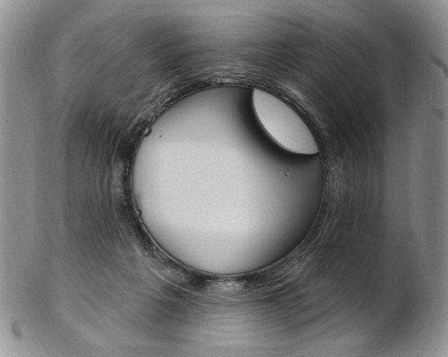 X0000103170217200808221135