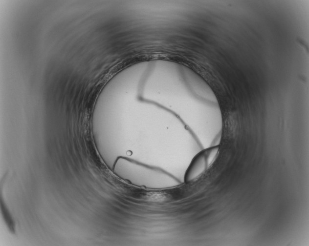 X0000103170218200808221135