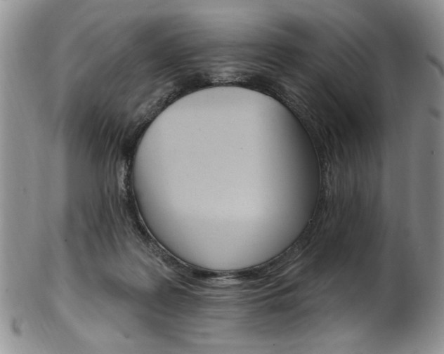 X0000103170219200808221135