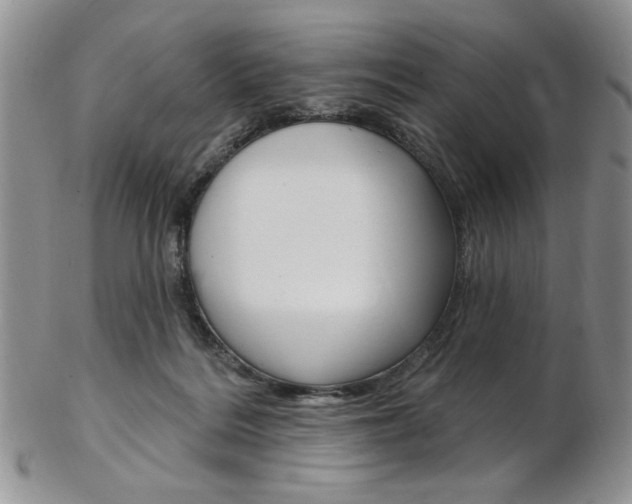 X0000103170220200808221135