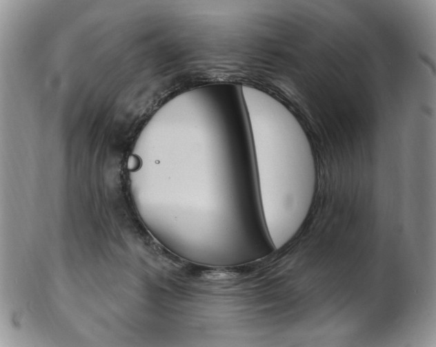 X0000103170221200808221135