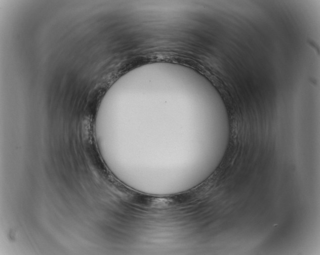 X0000103170222200808221135