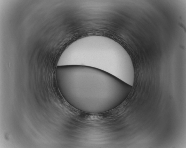 X0000103170223200808221135