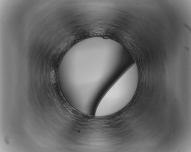 X0000103170224200808221135