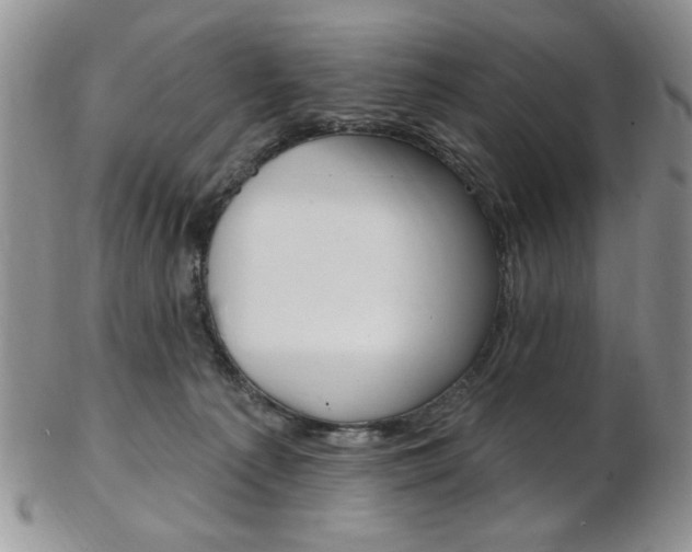 X0000103170225200808221135
