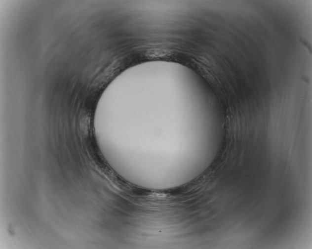 X0000103170227200808221135