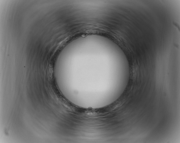 X0000103170228200808221135