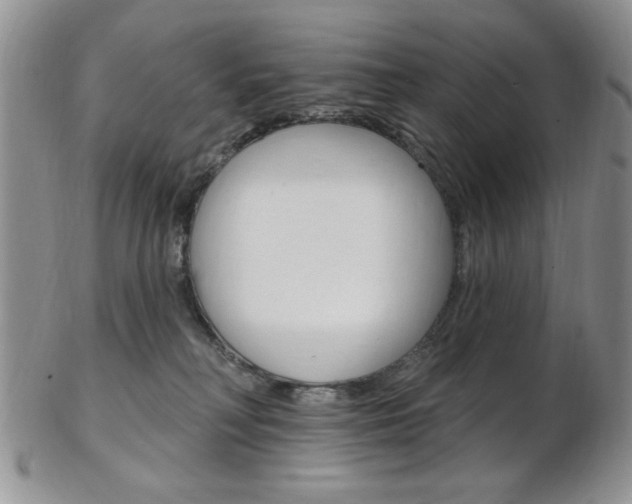X0000103170230200808221135