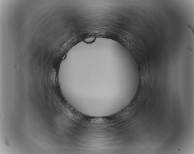 X0000103170231200808221135
