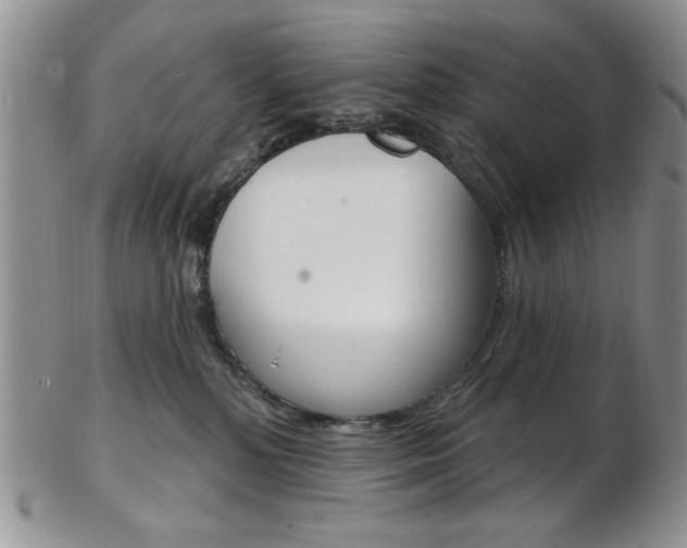 X0000103170232200808221135