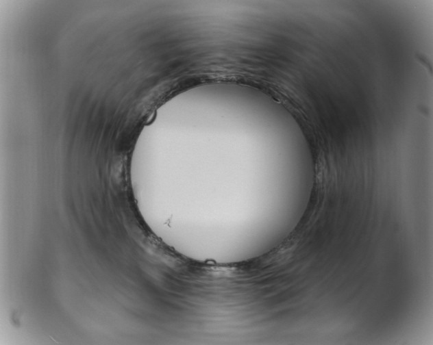 X0000103170233200808221135