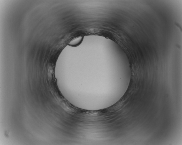 X0000103170235200808221135