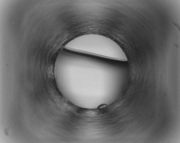 X0000103170236200808221135