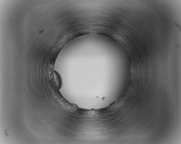 X0000103170237200808221135